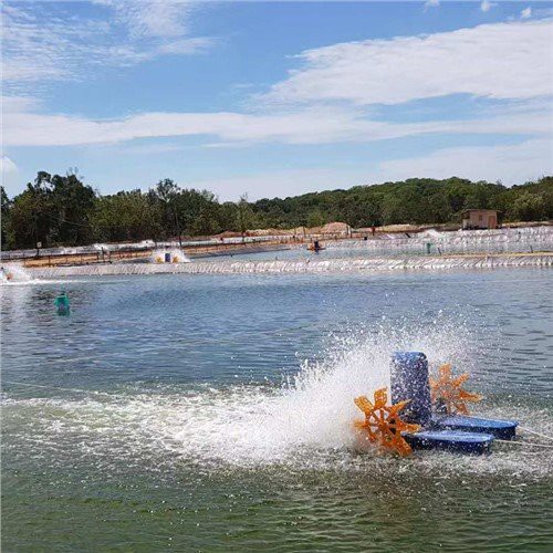 Pelapik Kolam Akuakultur